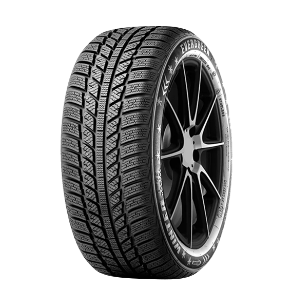 175/65 R15 84H Evergreen EW62