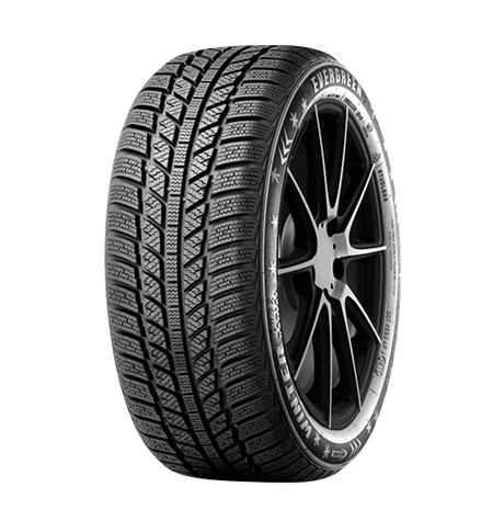 175/65 R15 84H Evergreen EW62